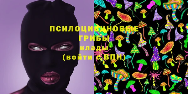 спиды Осинники