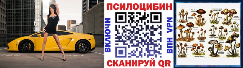 закладка  Североморск  KRAKEN ONION  Псилоцибиновые грибы GOLDEN TEACHER 