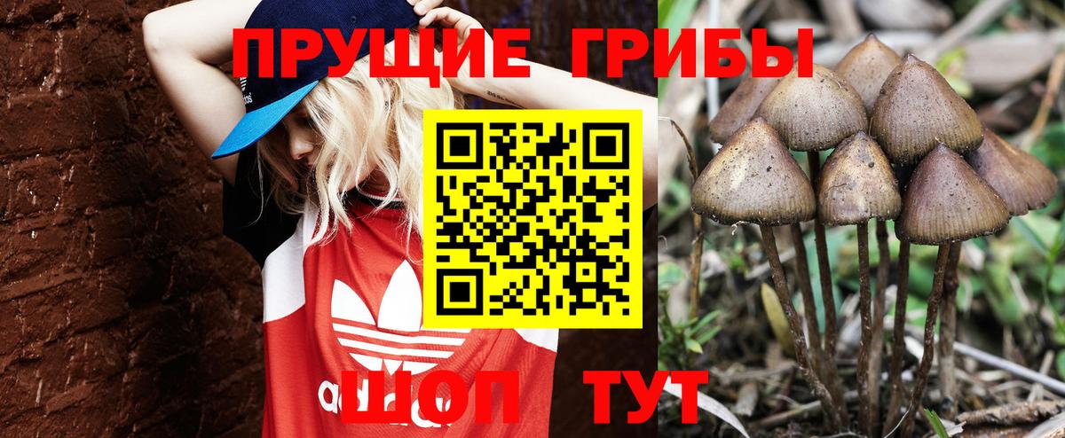 Галлюциногенные грибы Psilocybe  Вход с VPN  Североморск 